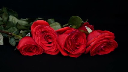 Fall of red roses on a black background.