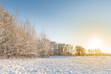 Winterlandschaft mit Schnee und Sonnenuntergang