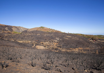 Gran Canaria  October 2017