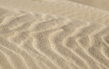 wind and sand pattern - obrazy, fototapety, plakaty