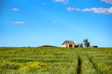 Fototapeta na wymiar Old lonely house in the field on sunny day