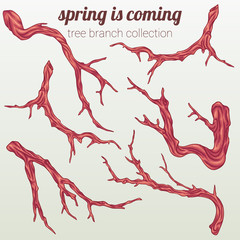 naked tree branches collection. Vector illustration.