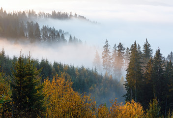 Autumn Carpathians, Ukraine.