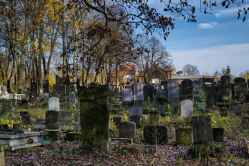 Zabytkowy cmentarz żydowski w mieście Łodzi, Polska © Senatorek