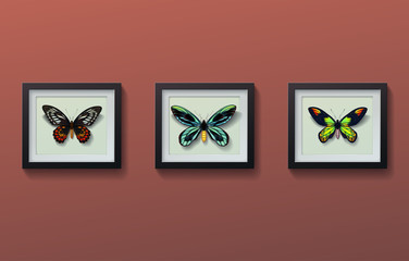 Realistic picture butterflies Ornithoptera in black frames on brown background