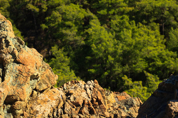 Rocky surface of hills in pine forest near Kemer, Turkey, view from above