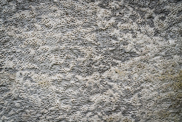 Beton wall texture