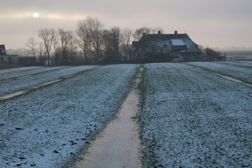 Bauernhaus auf der Halbinsel Eiderstedt an der Nordsee