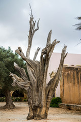 Arkadi Monastery, Crete, Greece