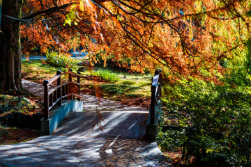 Autumn landscape. Autumn tree leaves. bridge in autumn park
