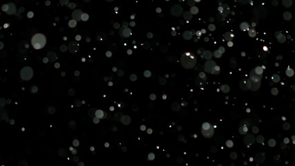Snowfall Bokeh Lights on Black Background, Shot of Flying Snowflakes in the Air