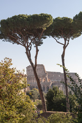 Fototapeta na wymiar The Roman Forum and Colosseum in Rome, Italy