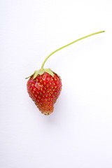 Strawberry on white background