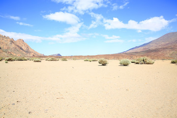 Fototapeta na wymiar Desert in the Teide National Park on Tenerife Island, Canary Islands, Spain