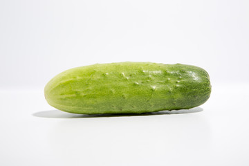 Cucumber 