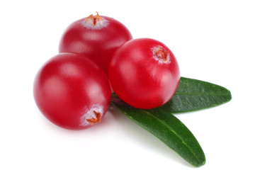 Cranberry with leaves isolated on white. With clipping path. Full depth of field.