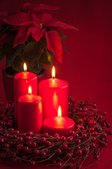 Red burning Advent Christmas candles with the berries wreath and poinsettia on a red background