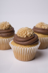 Cupcakes on white