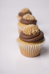 Cupcakes on white