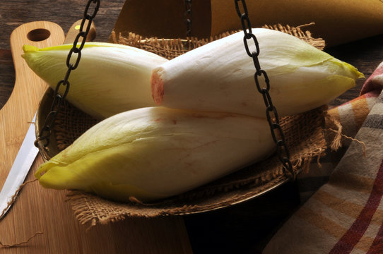 Cichorium endivia Endivie 苦苣 Scarola Endibia