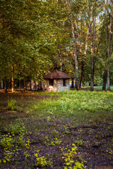 Fototapeta na wymiar Small very old House in the forest