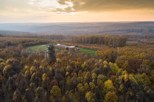 Beautiful autumn forest