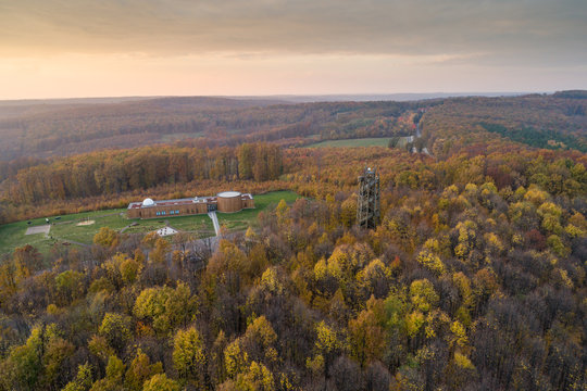 Beautiful autumn forest
