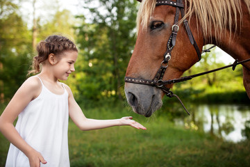 Llittle girl is feeding a horse. Summer meadow.