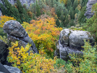 Felsen im Herbst Elbsandsteingebirge