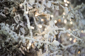 Christmas xmas holidays decorations lights bokeh sweet