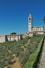 Fototapeta na wymiar Assisi, la Basilica di Santa Chiara - Umbria