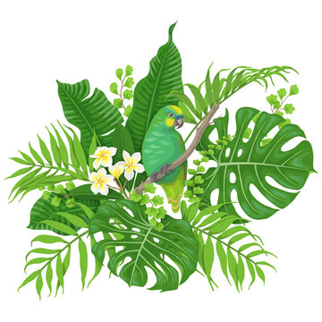 Green Parrot and Tropical Plants