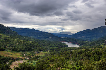 Scenic view of Srilankan mountain forest