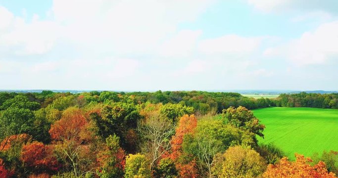 Beautiful aerial view of mature soy beans field rows at fall season