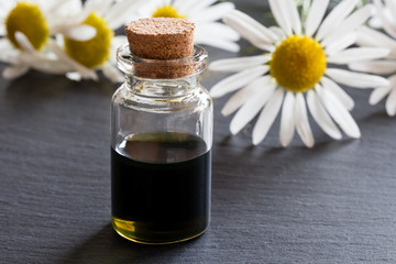 A bottle of chamomile essential oil with chamomile flowers in the background