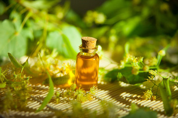 linden essential oil in  beautiful bottle on table