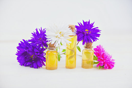 aster essential oil in  beautiful bottle on  White background