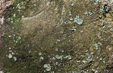 the texture of the stone