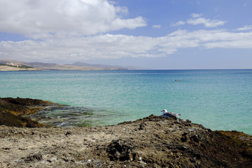 Beach Costa Calma on Fuerteventura, Spain.