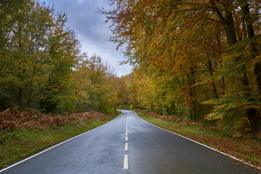 Carretera en oto&ntilde;o