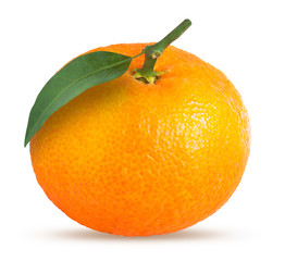 Whole tangerine or mandarin fruit isolated