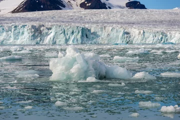 Foto op Plexiglas Arctic landscape © Alexey Seafarer