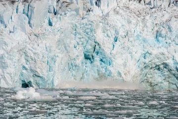 Abwaschbare Fototapete Arktische Landschaft © Alexey Seafarer