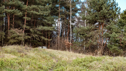 world war II tanks on a field as a battle monument