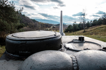 world war II tanks on a field as a battle monument