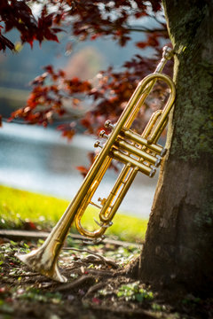 Jazz Trumpet Nature