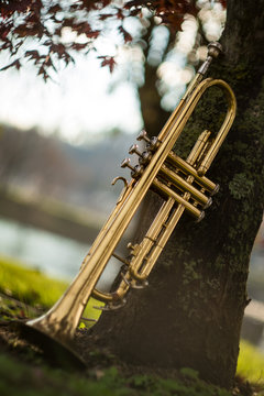 Jazz Trumpet Nature