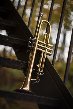 Jazz Trumpet Nature