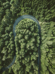 Oregon roads © Victoria Nefedova