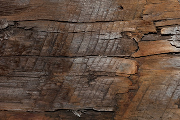 Black wood texture or wooden background with grey wood. Graphical resource. Copy space.